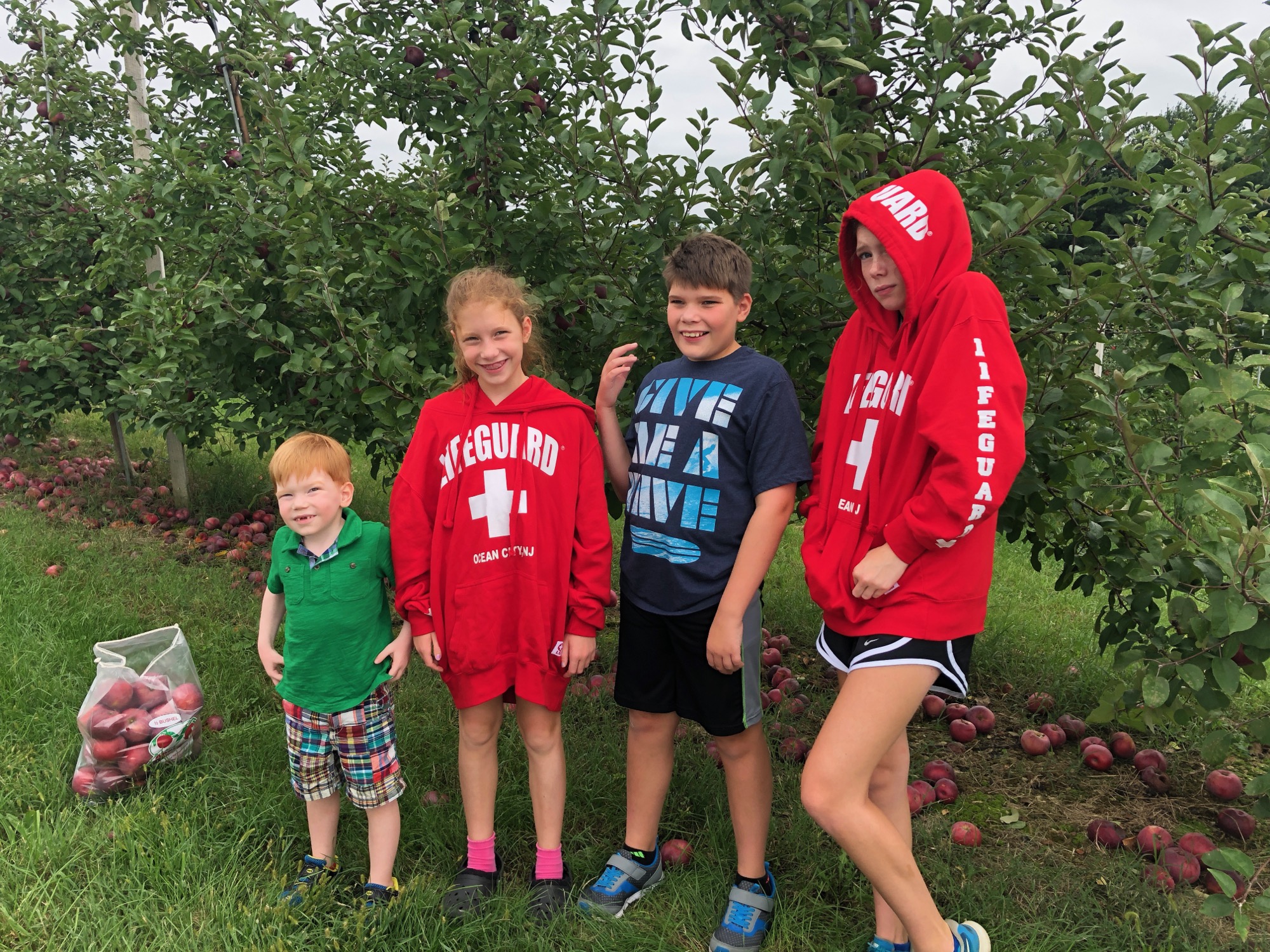 2018-09-15-apple-picking photo