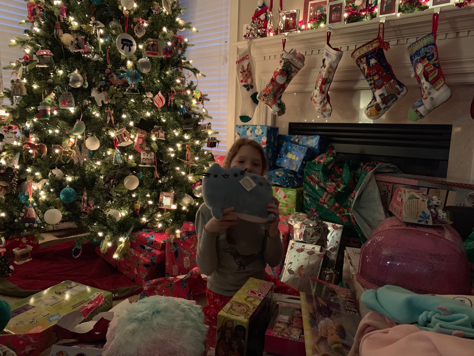 2018-12-25-christmas03 photo