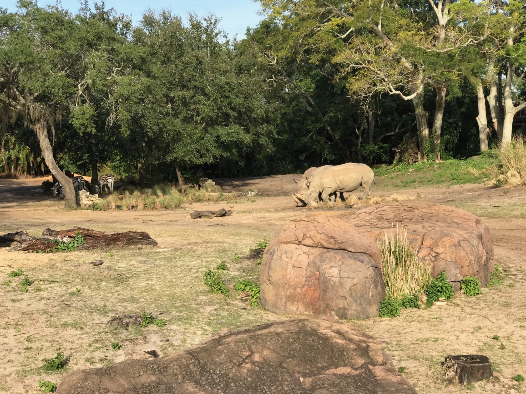 disney-trip-2016-98 photo