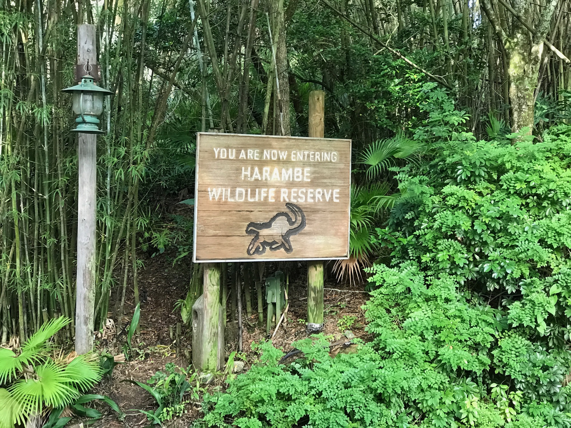 disney-trip-2016-87 photo