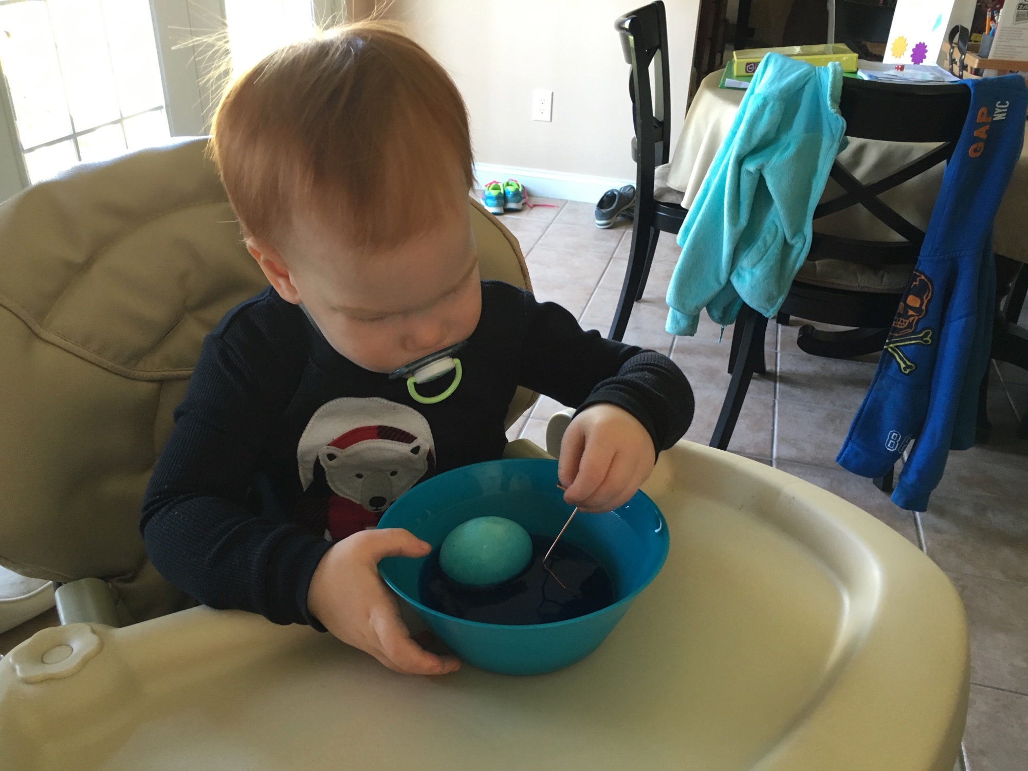 03-26-2016-eggs-1 photo