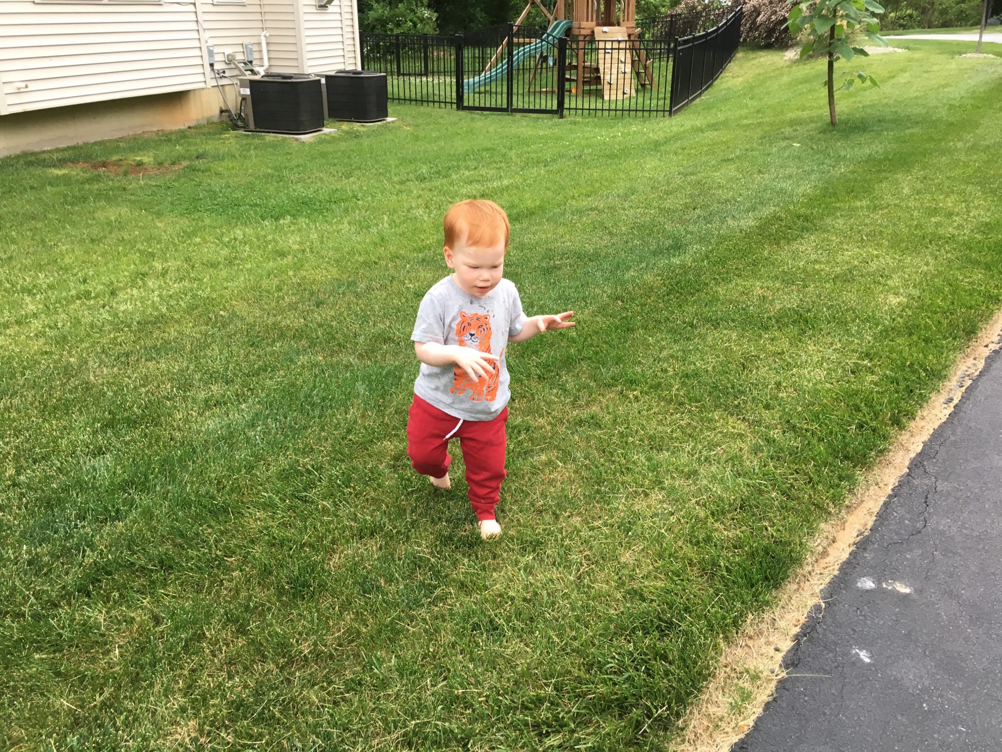 05-29-2016-brooks-spring-2 photo