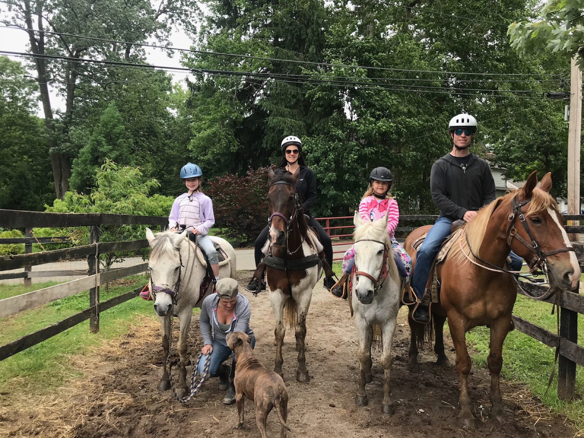 2018-06-09-meg-horse02 photo