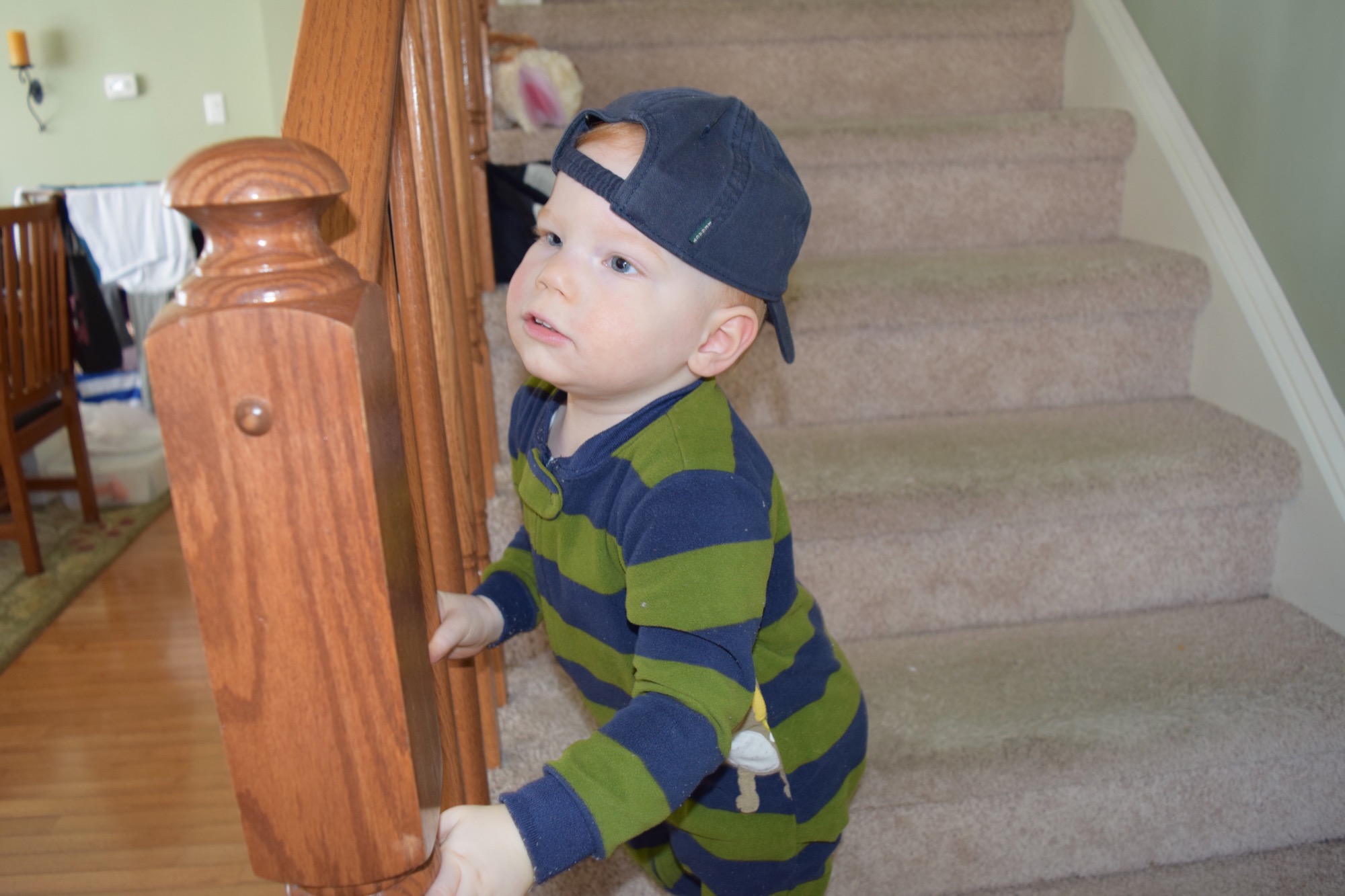 04-15-2016-redheads-1 photo