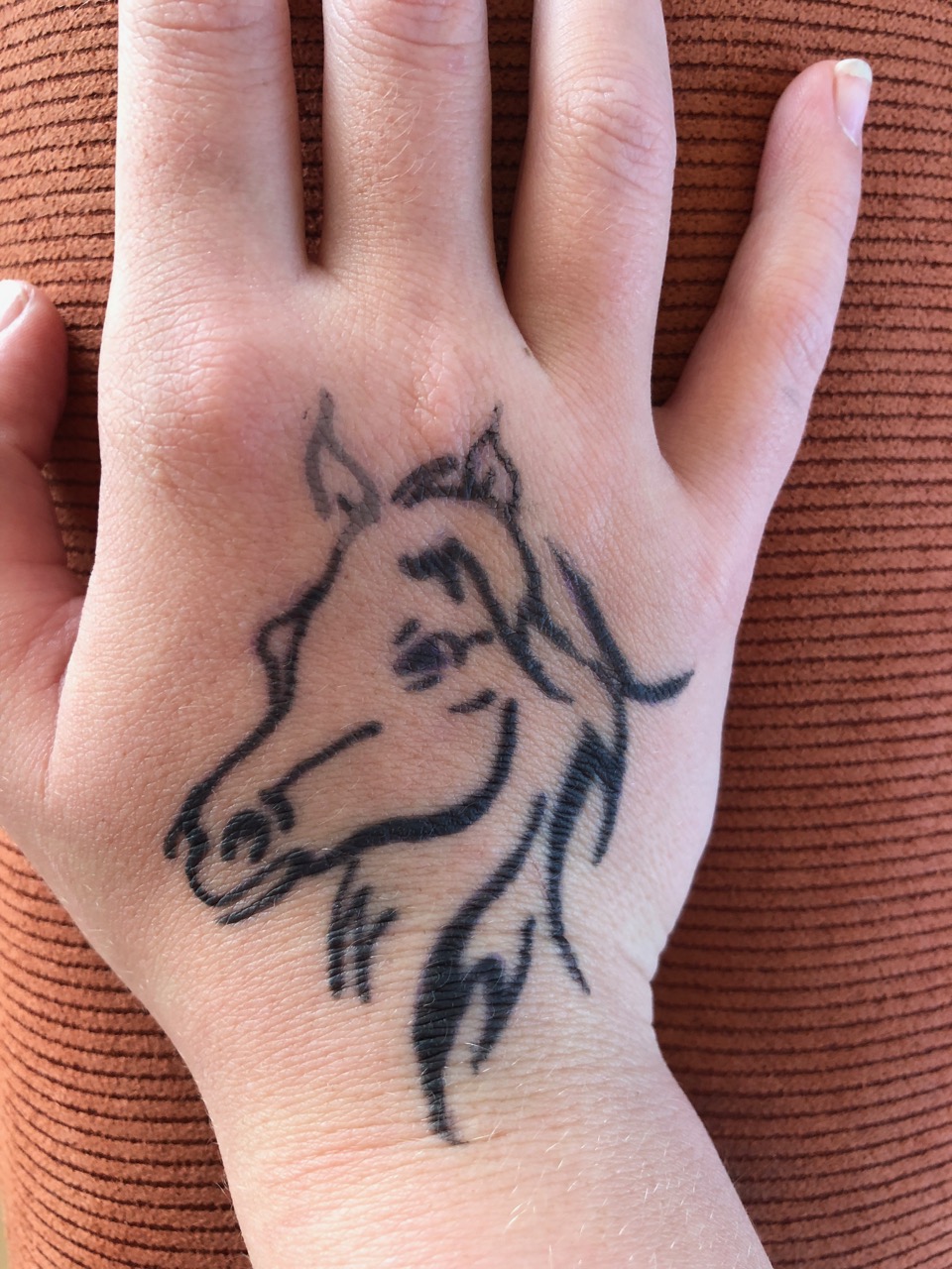 outer-banks-2018-00017 photo