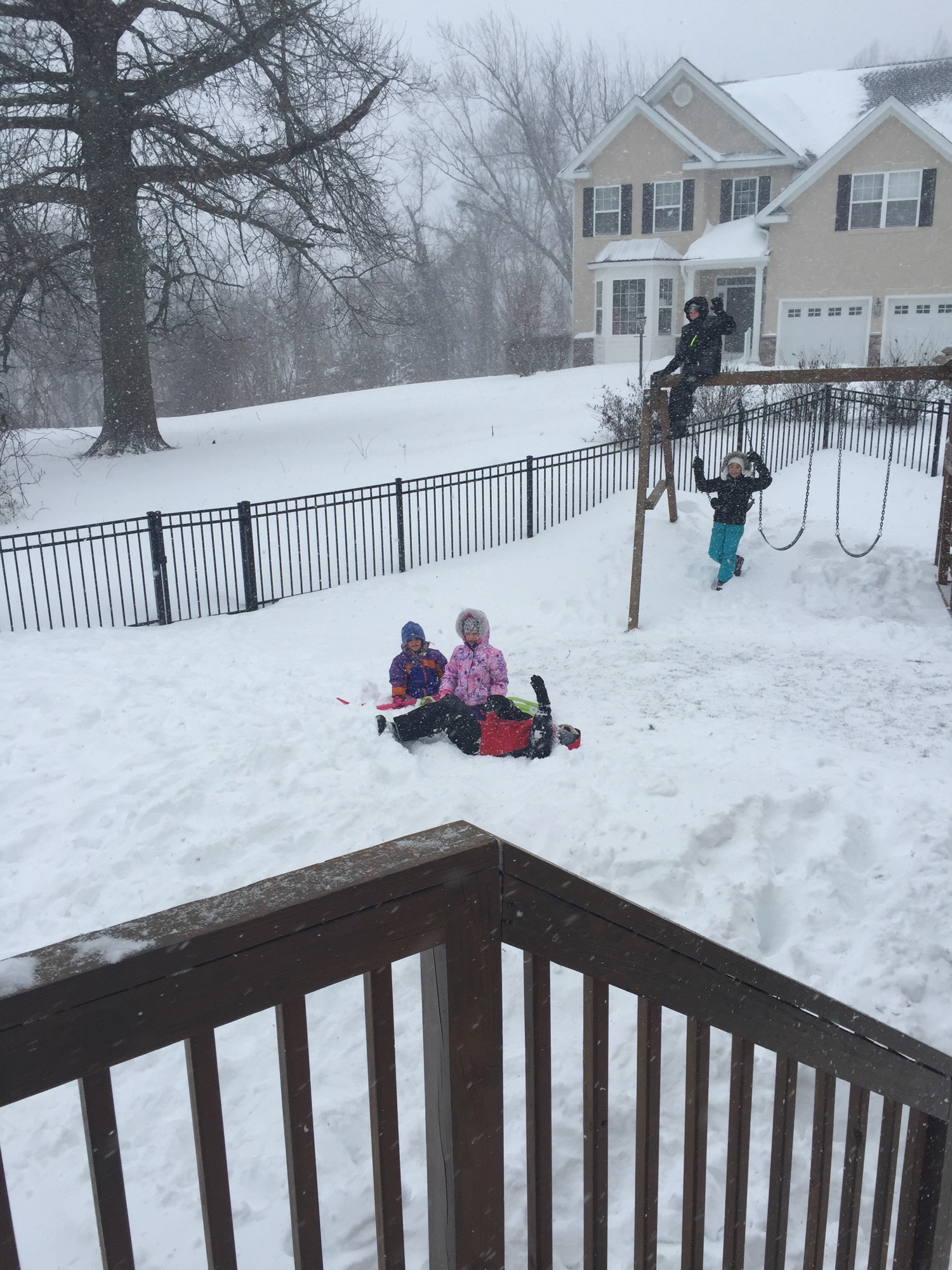 01-23-2016-snowed-in-2 photo